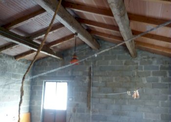 Rustico Ponte dell'Olio - foto 22