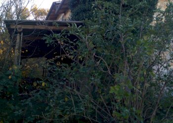 Rustico Ponte dell'Olio - foto 23