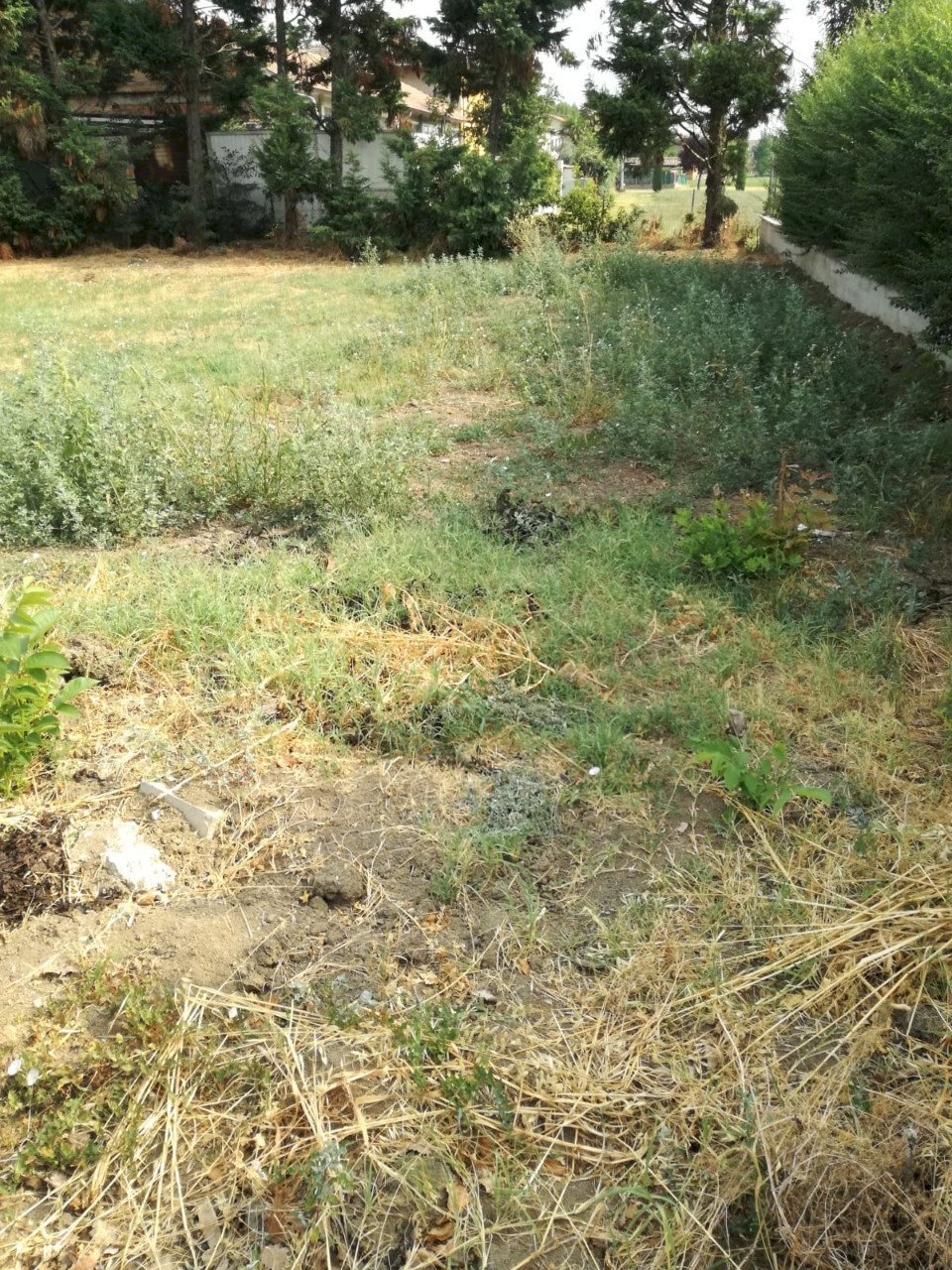 Building land Scandiano - photo 1