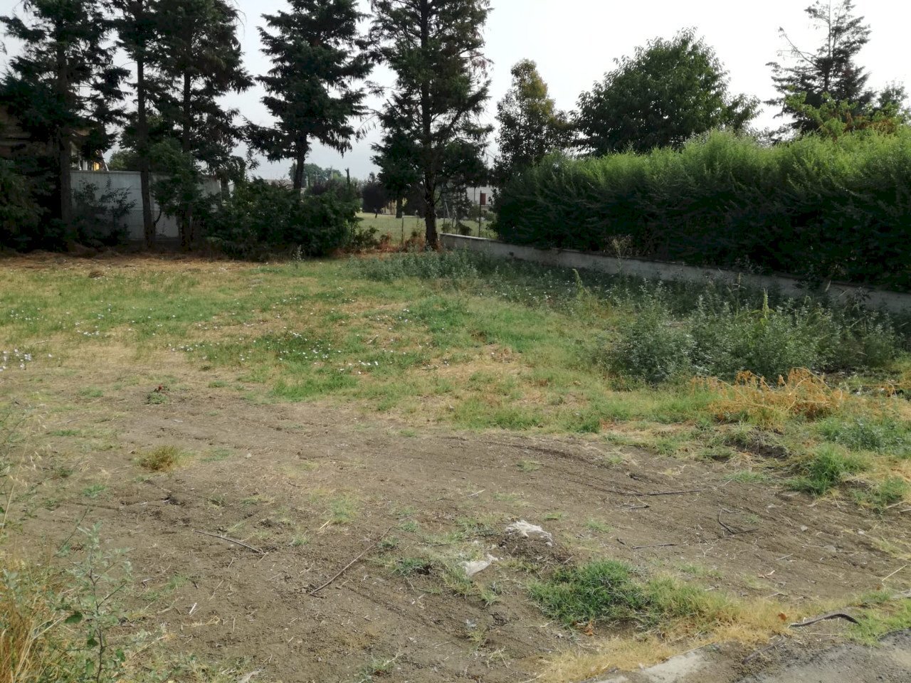 Building land Scandiano - photo 2