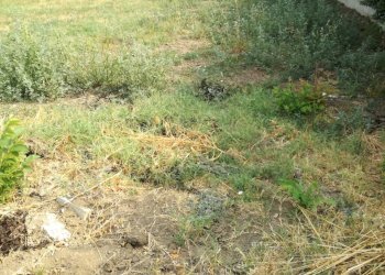 Terreno edificabile Scandiano - foto 1