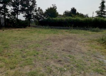 Terreno edificabile Scandiano - foto 3