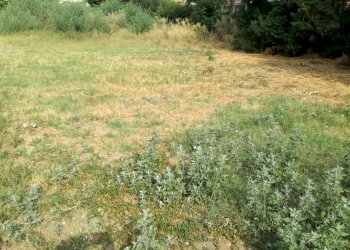 Terreno edificabile Scandiano - foto 4