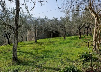 Casa indipendente VIA OLIVE, Casalvieri - foto 4