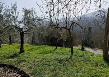 Casa indipendente VIA OLIVE, Casalvieri - foto 6