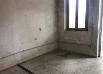 Shed sarzanese sud, Massarosa - photo 5