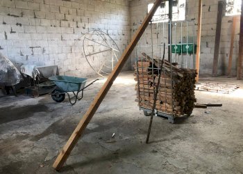 Shed sarzanese sud, Massarosa - photo 7