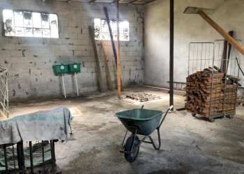 Shed sarzanese sud, Massarosa - photo 8