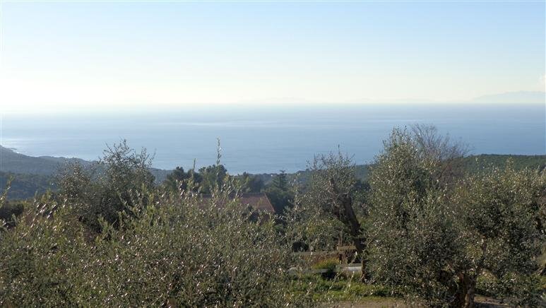 Agriturismo Livorno - foto 3