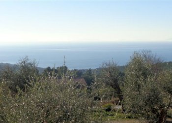 Agriturismo Livorno - foto 3