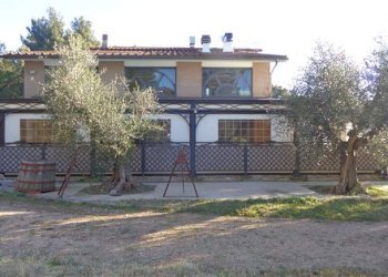 Agriturismo Livorno - foto 4