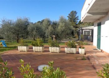 Agriturismo Livorno - foto 16