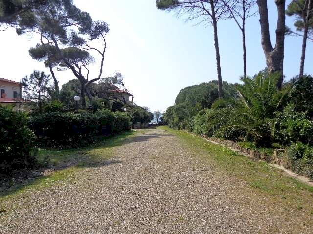 Trilocale Rosignano Marittimo - foto 1
