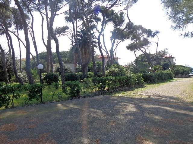 Trilocale Rosignano Marittimo - foto 2