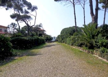 Trilocale Rosignano Marittimo - foto 1