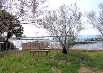 Trilocale Rosignano Marittimo - foto 3
