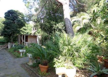 Trilocale Rosignano Marittimo - foto 6