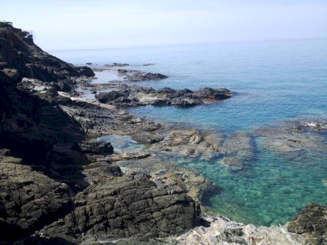 Trilocale Rosignano Marittimo - foto 1