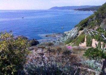 Trilocale Rosignano Marittimo - foto 2