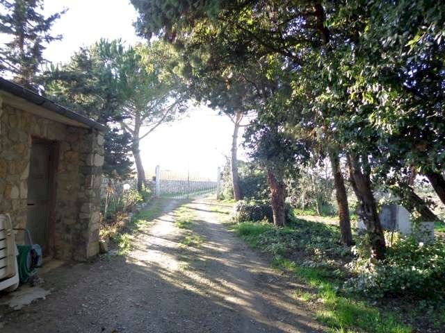 Azienda agricola Bibbona - foto 1