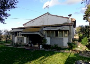 Azienda agricola Bibbona - foto 4