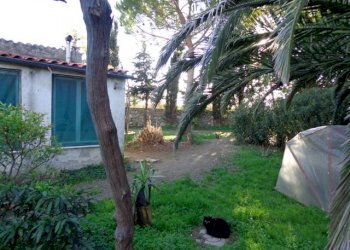 Azienda agricola Bibbona - foto 8