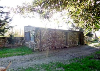 Azienda agricola Bibbona - foto 9