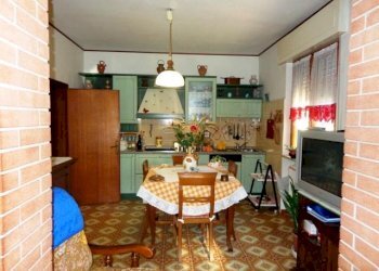 Azienda agricola Bibbona - foto 11