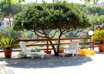 Villa Portoferraio - photo 5