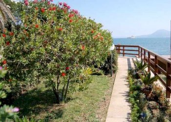 Villa Portoferraio - photo 8