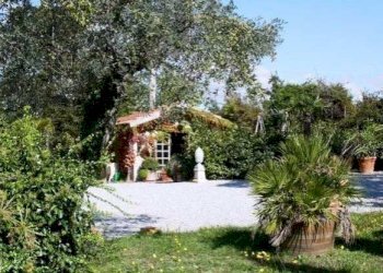 Casa Colonica Guardistallo - foto 4