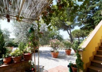 Casa Colonica Guardistallo - foto 7