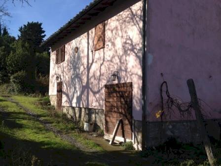 Rustico Lajatico - foto 2