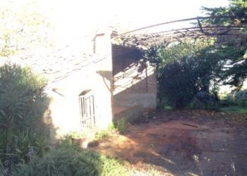 Rustico Lajatico - foto 5