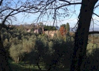 Rustico Lajatico - foto 6