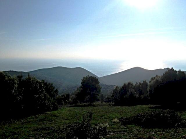 Terraced Villa Livorno - photo 2