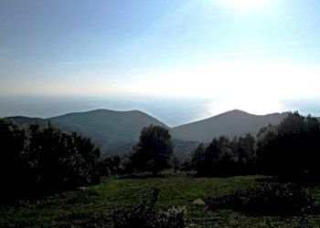 Terraced Villa Livorno - photo 2