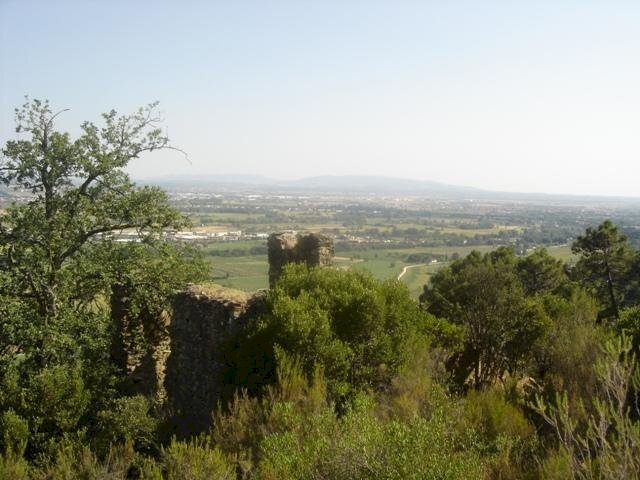 Rustico Buti - foto 2