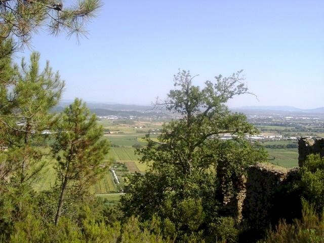 Rustico Buti - foto 3