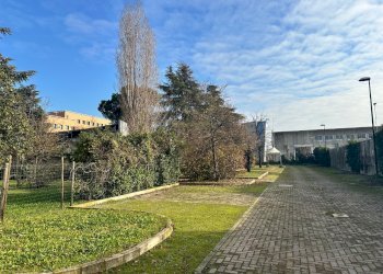 Ufficio Bologna - foto 32
