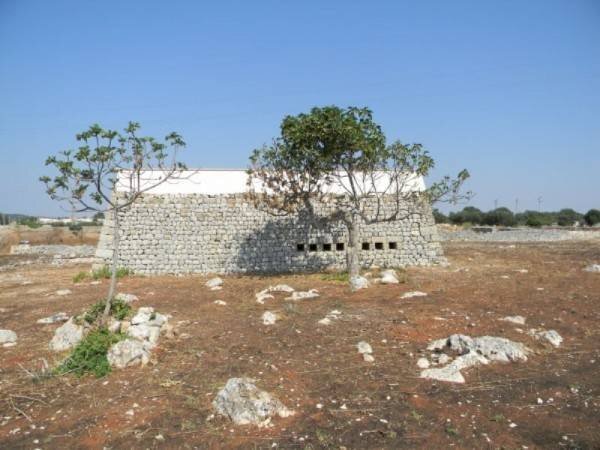 Agricultural land Castrignano del Capo - photo 3
