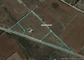 Terreno agricolo Castrignano del Capo - foto 13