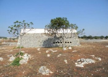 Terreno agricolo Castrignano del Capo - foto 4