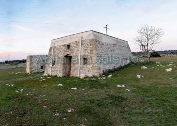 Terreno agricolo Castrignano del Capo - foto 5