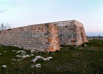 Terreno agricolo Castrignano del Capo - foto 12