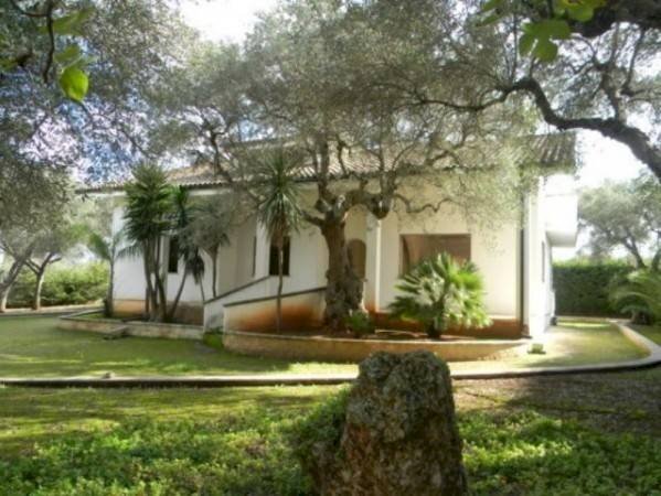 Villa Ruffano - foto 3