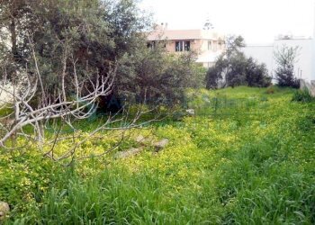 Terreno edificabile via Padova, Castrignano del Capo - foto 1