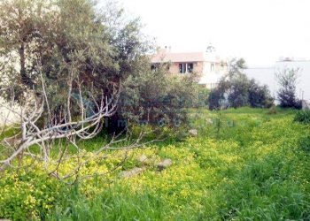 Terreno edificabile via Padova, Castrignano del Capo - foto 4