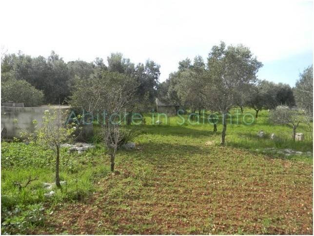 Terreno agricolo Morciano di Leuca - foto 1