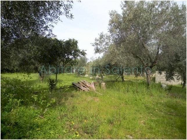 Terreno agricolo Morciano di Leuca - foto 2